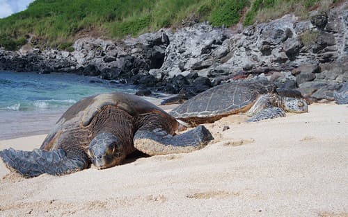 Hawaiian Islands