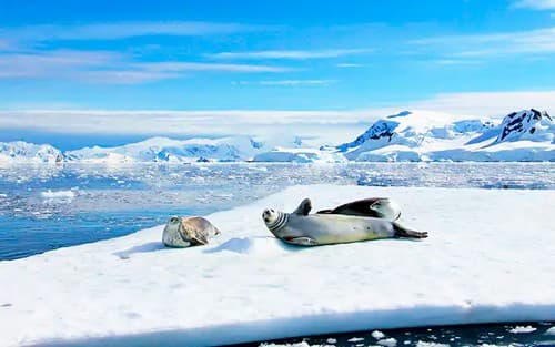 Antarctica
