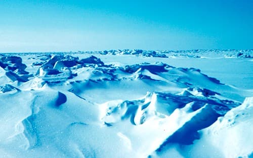 Polar Regions