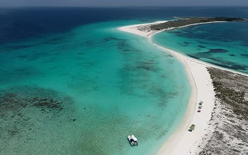 Bahamas & Perfect Day Cruise